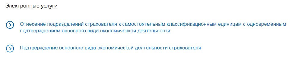 Подтверждение ОКВЭД через Госуслуги